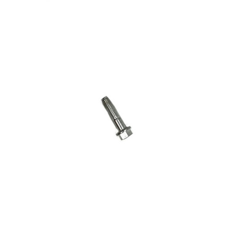 Johnson – Evinrude 0331999 Screw