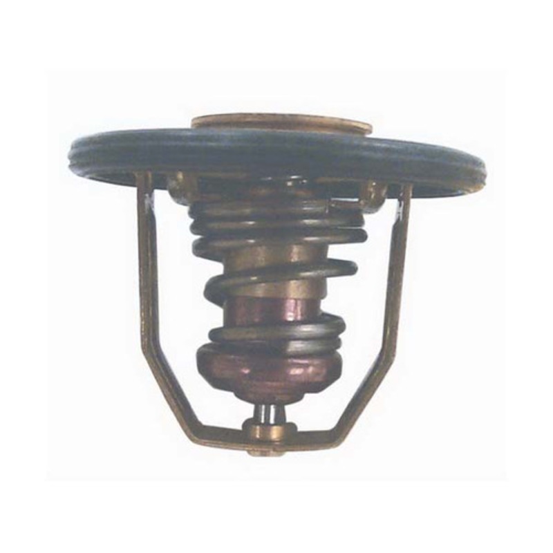 Sierra 18-3656 Thermostat Kit Replaces 876097