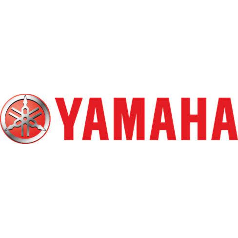 Yamaha Fuel Filter Element 9.9-F100 No 61N-24563-10